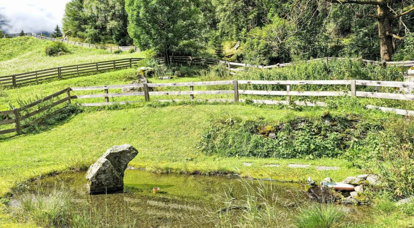 Photo of Typ B Apartment 2