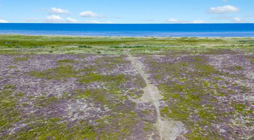 Photo of "Lutz" - 340m from the sea