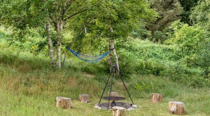 Photo of "Nahuel" - 1km from the sea