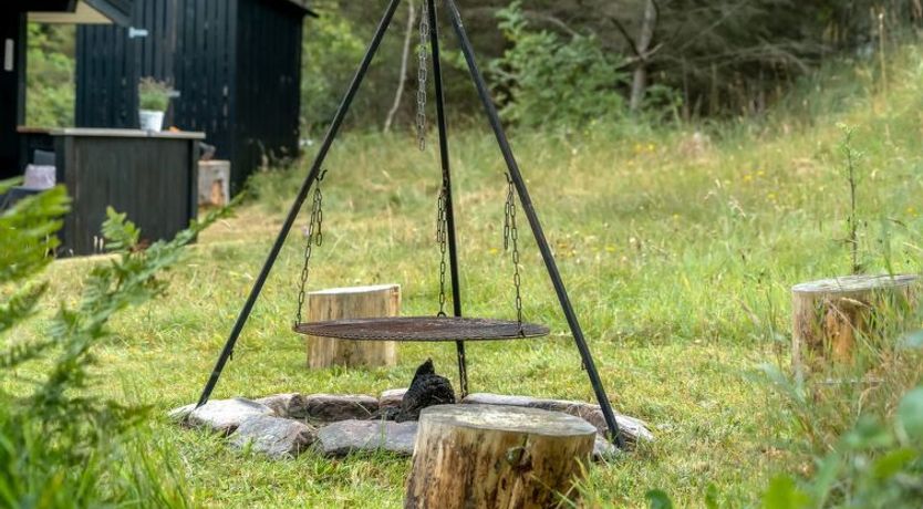 Photo of "Nahuel" - 1km from the sea