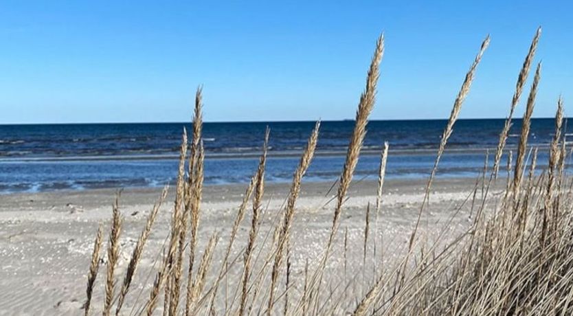 Photo of "Har" - 1.2km from the sea