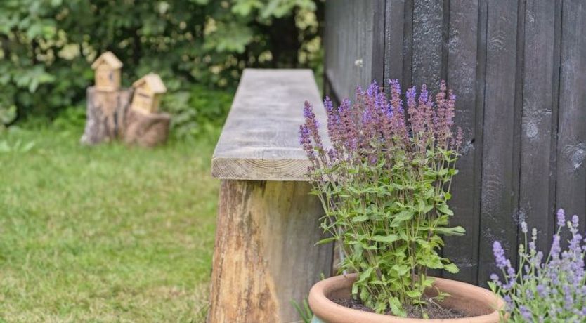 Photo of "Marjanne" - 800m from the sea