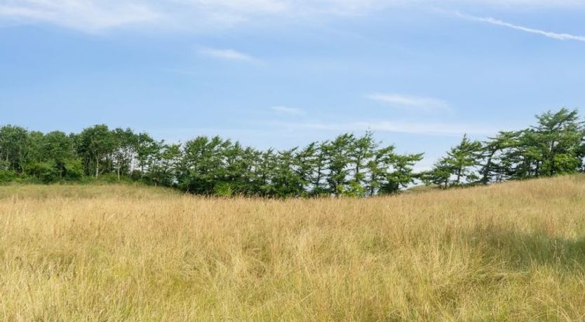 Photo of "Dorthie" - 1.7km from the sea