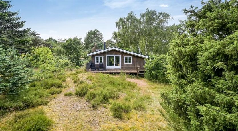 Photo of "Jarno" - 150m from the sea