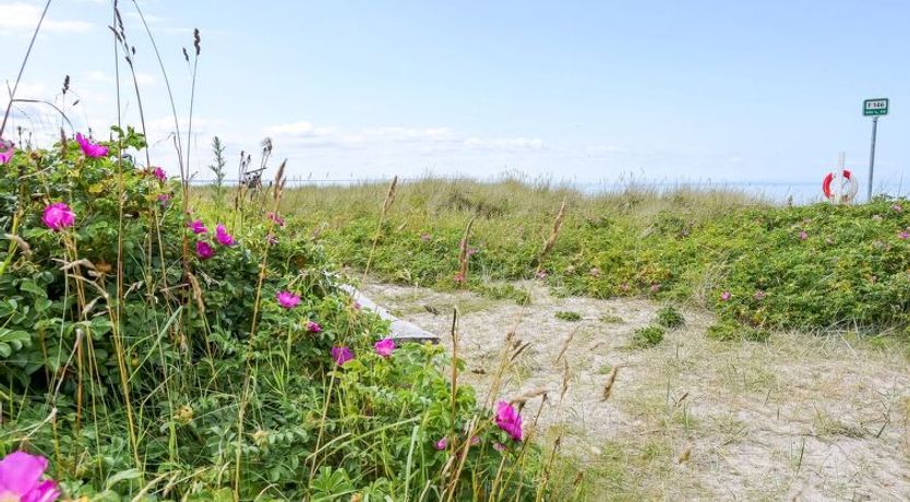 Photo of "Jarno" - 150m from the sea