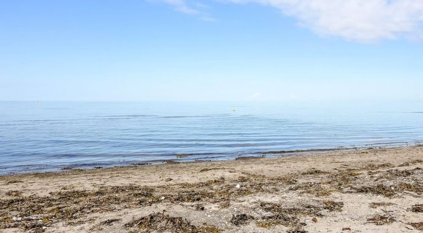 Photo of "Jarno" - 150m from the sea