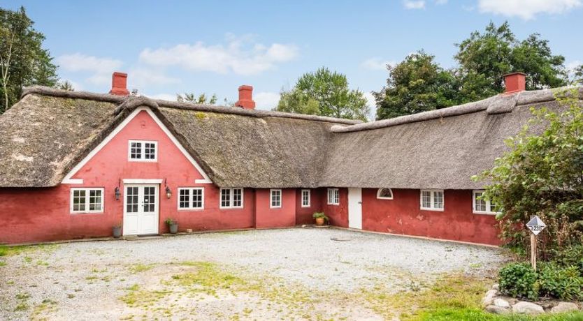 Photo of "Yrjö" - 2.5km from the sea