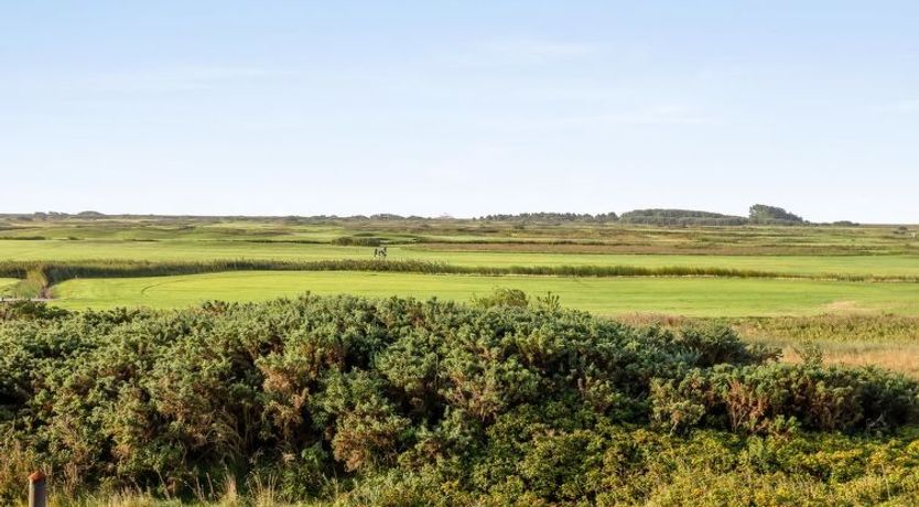 Photo of "Steffan" - 2.3km from the sea