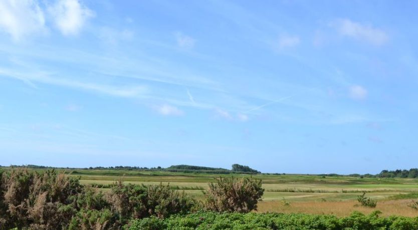 Photo of "Steffan" - 2.3km from the sea