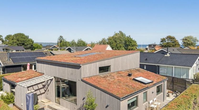 Photo of "Elvie" - 150m from the sea