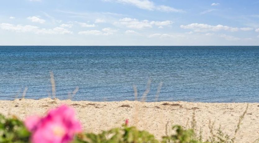 Photo of "Elvie" - 150m from the sea