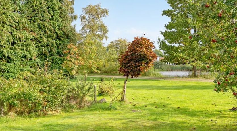 Photo of "Aksa" - 400m from the sea