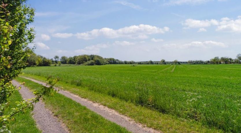 Photo of "Aarni" - 6.5km from the sea