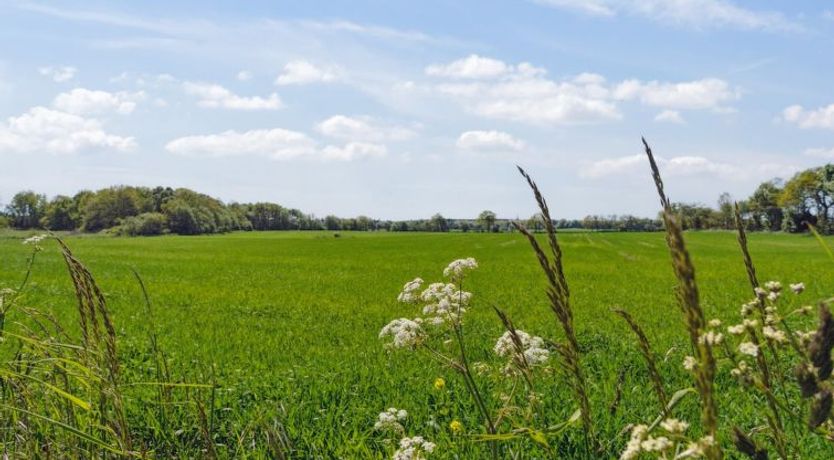 Photo of "Aarni" - 6.5km from the sea