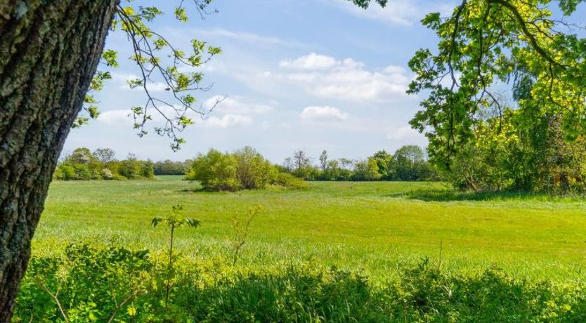 Photo of "Aarni" - 6.5km from the sea