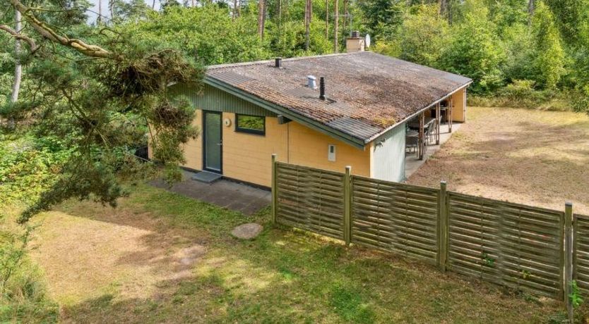 Photo of "Henri" - 800m from the sea