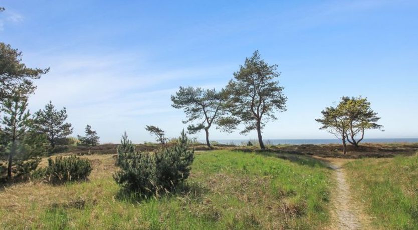 Photo of "Marja" - 350m from the sea