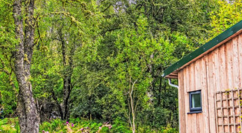 Photo of G-Wilderness Cabin