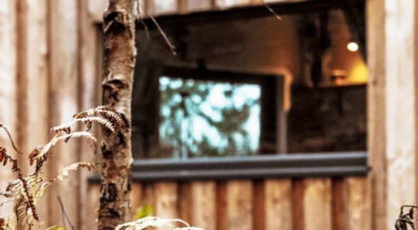 Photo of G-Wilderness Cabin