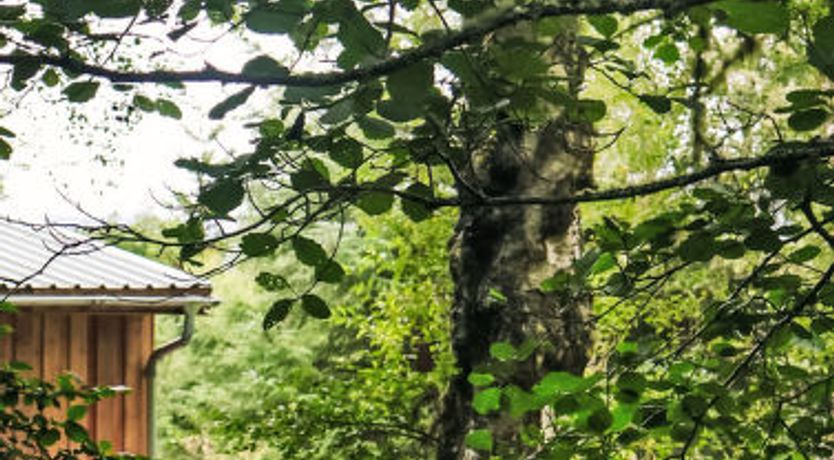 Photo of G-Wilderness Cabin