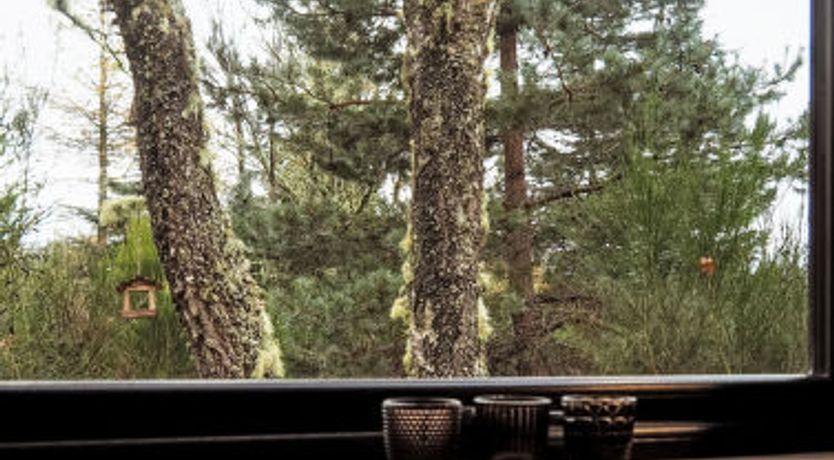 Photo of G-Wilderness Cabin