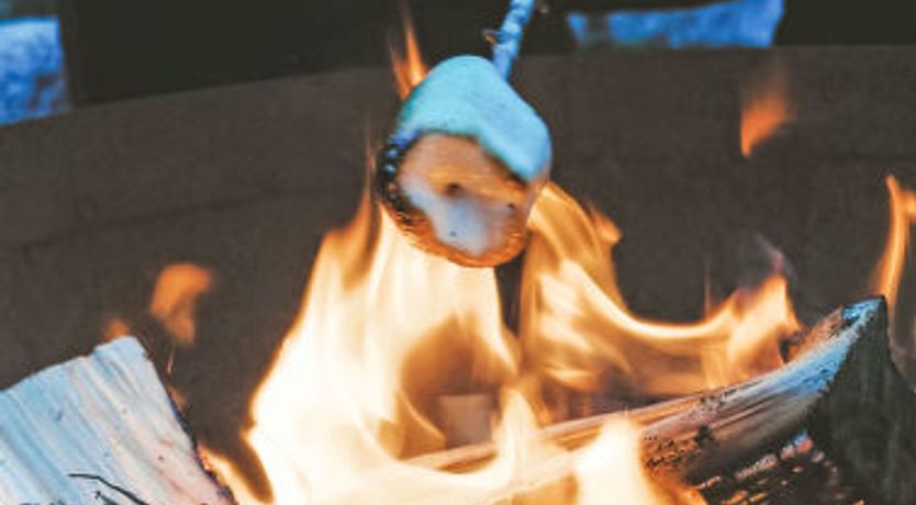 Photo of G-Wilderness Cabin