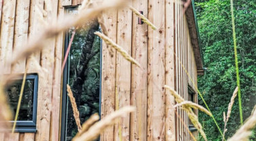 Photo of G-Wilderness Cabin