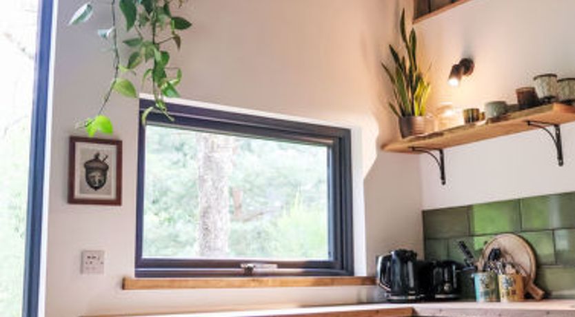 Photo of G-Wilderness Cabin