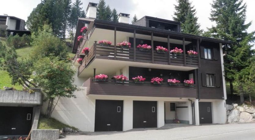 Photo of Barlangia Hoijer