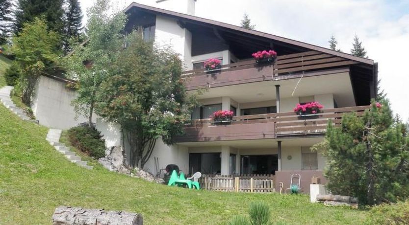 Photo of Barlangia Hoijer