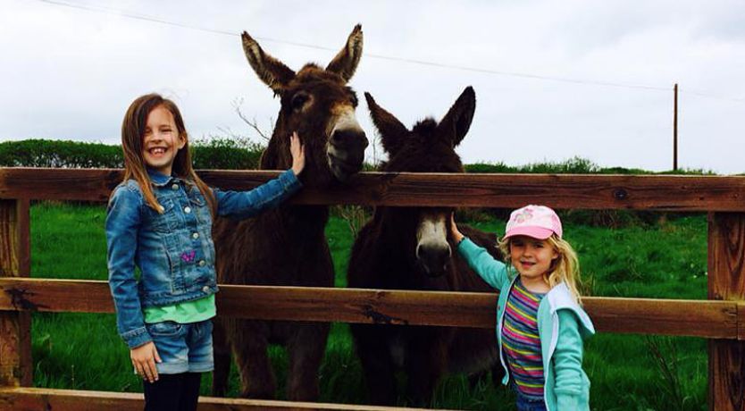 Photo of Country House on Private 20-Acre Estate