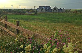 Country House on Private 20-Acre Estate Holiday Home