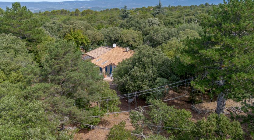 Photo of Treetop Provence