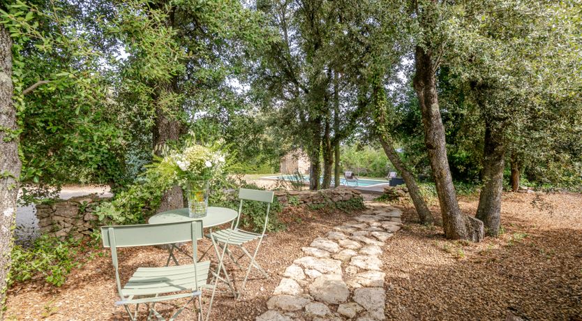 Photo of Treetop Provence