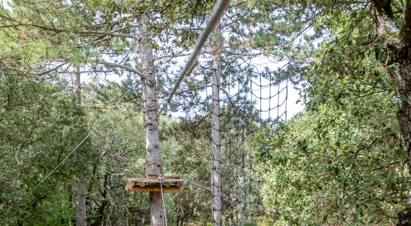 Photo of Treetop Provence