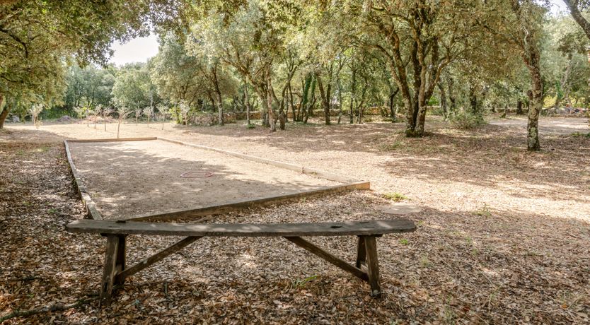 Photo of Treetop Provence