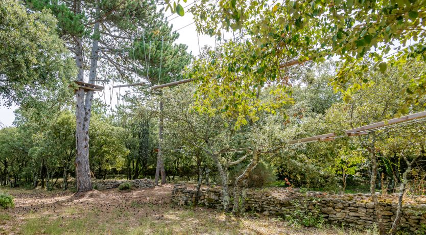 Photo of Treetop Provence