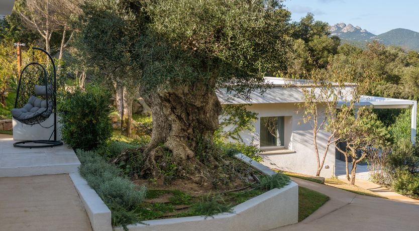 Photo of The Ocean Jewel