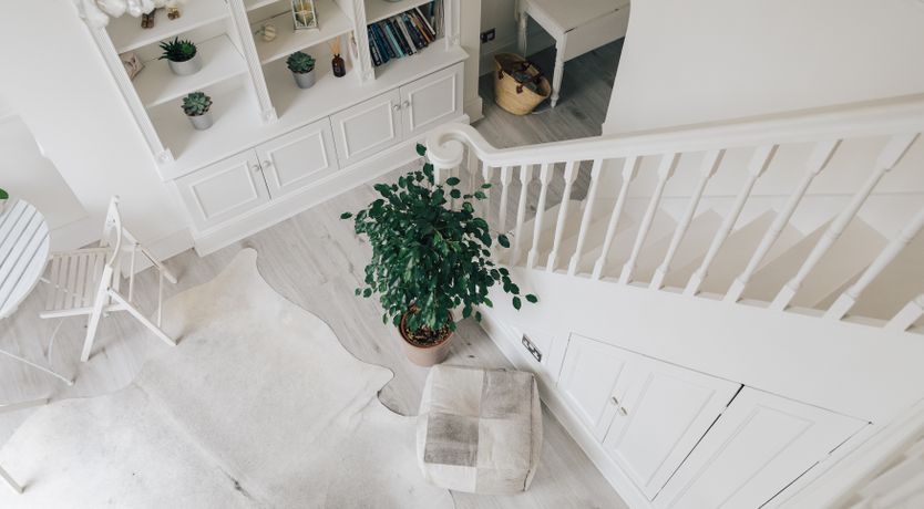 Photo of White Doves