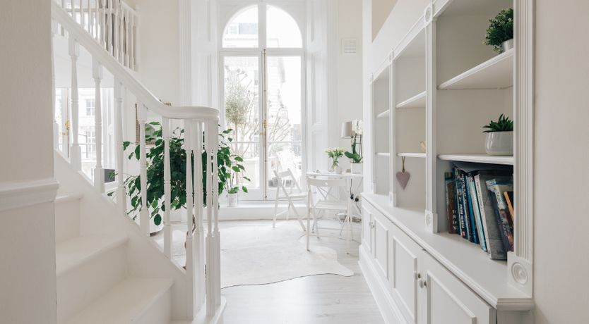 Photo of White Doves