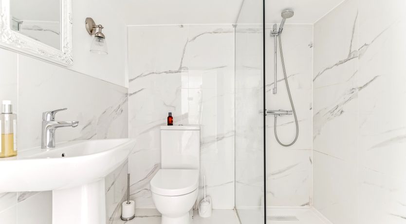 Photo of White Doves