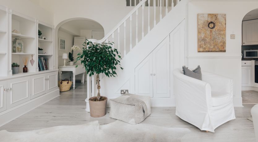 Photo of White Doves