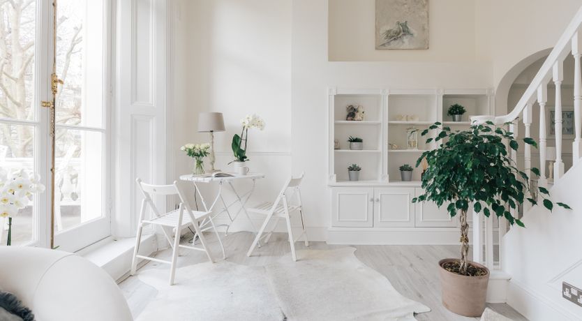 Photo of White Doves