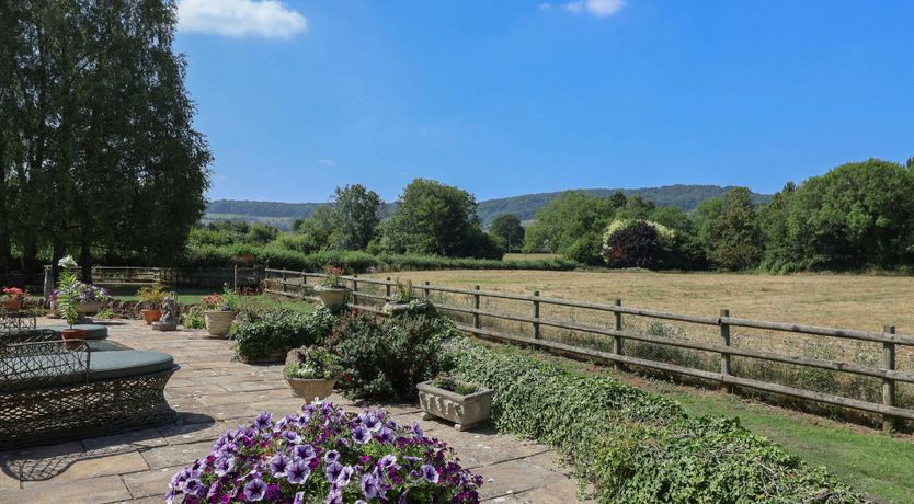 Photo of Birch & Honey