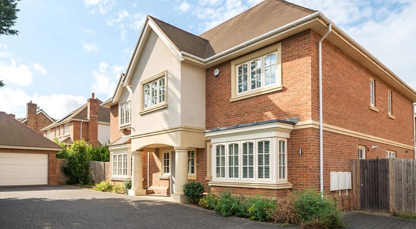 Photo of The Lily Rose