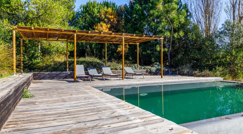 Photo of Beachcomber Blues