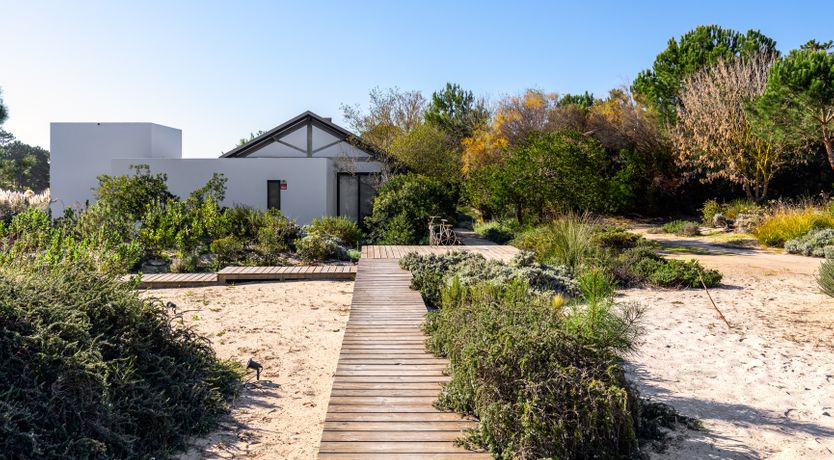 Photo of Beachcomber Blues