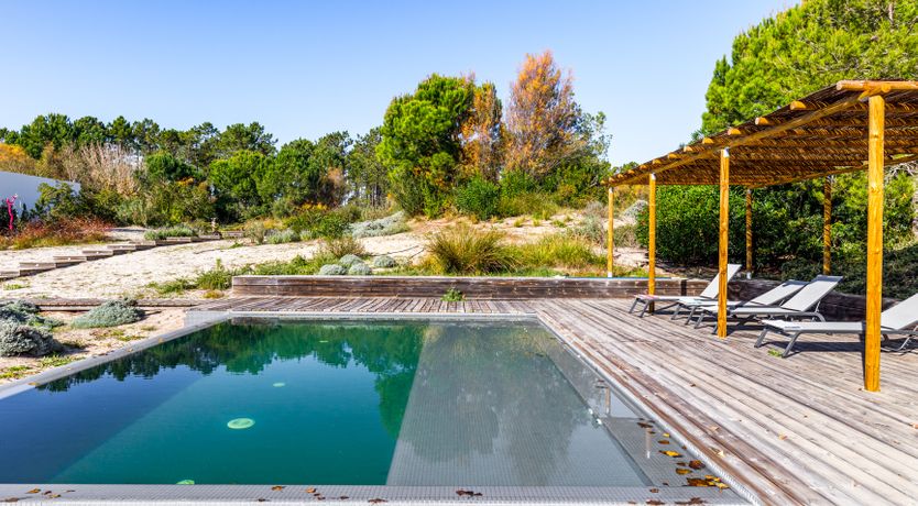 Photo of Beachcomber Blues