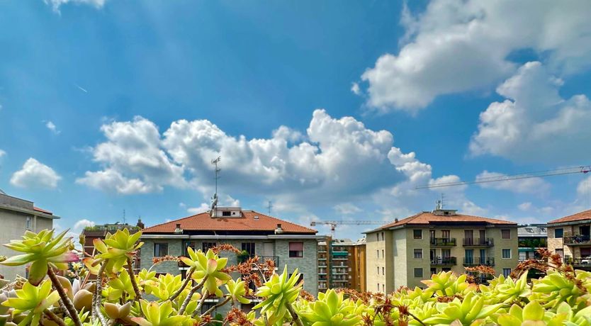 Photo of Milan's West Side Story