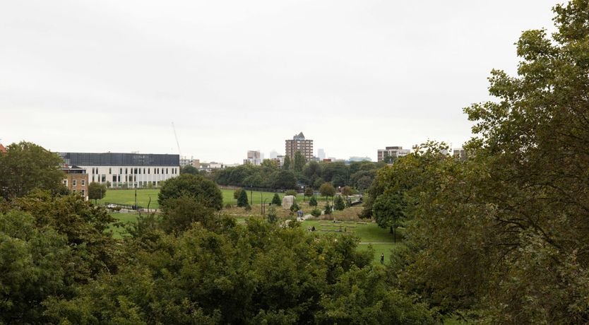 Photo of Subtle Sunshine